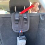 Car harness emergency evacuation Escape Box