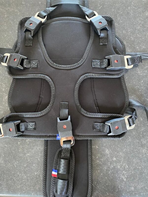 Car restraint harness adult version